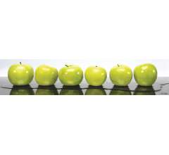 Кухонные фартуки SP 040